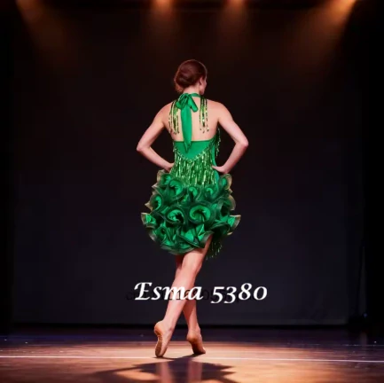 Esma 5380